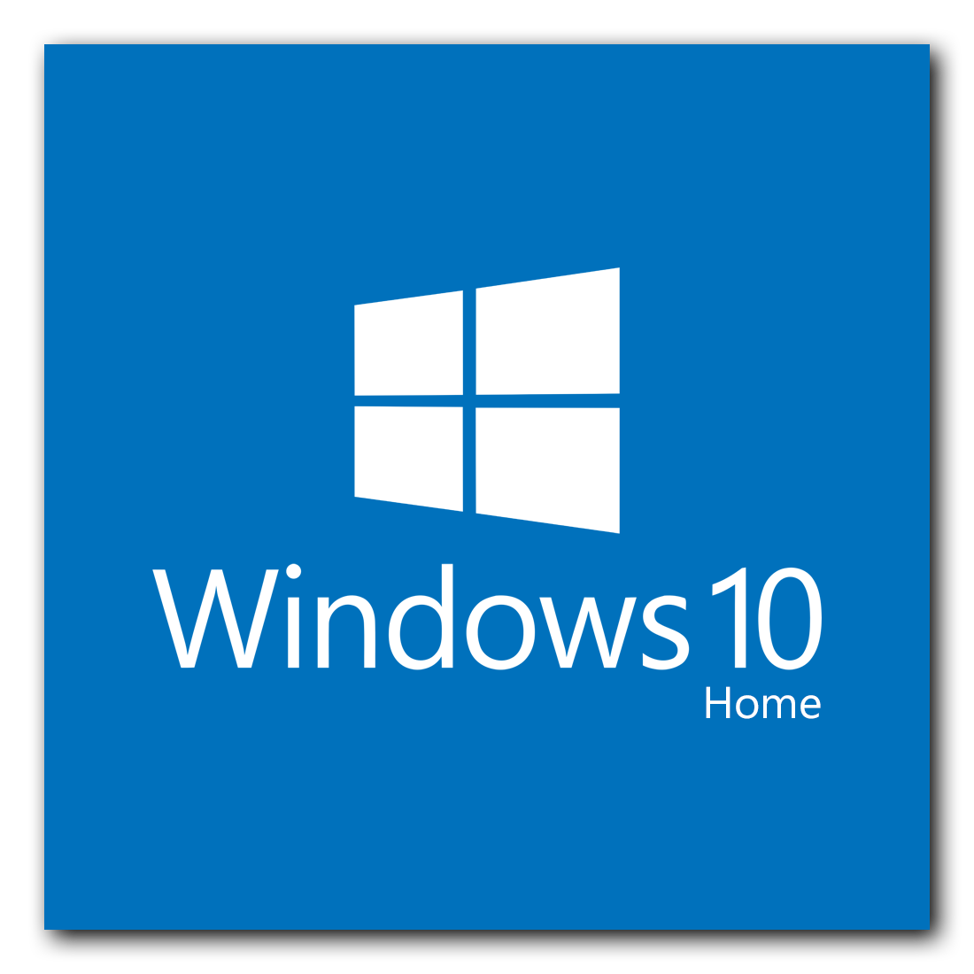 Windows 10 Home lisansı