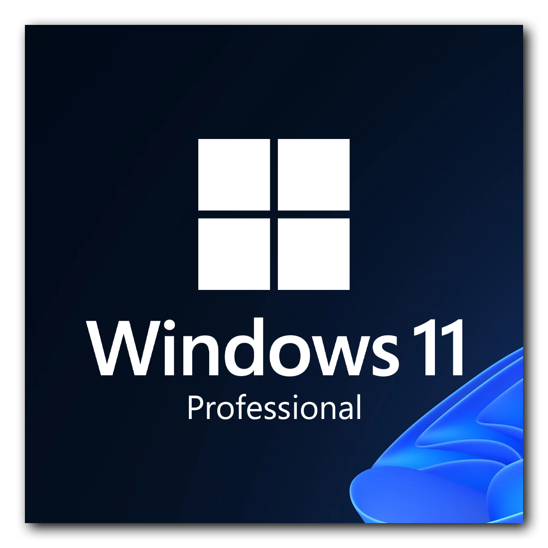 Windows 11 Pro lisansı